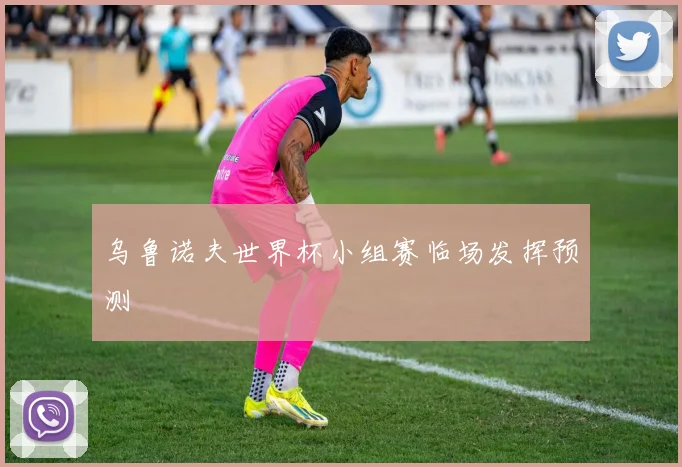 乌鲁诺夫世界杯小组赛临场发挥预测