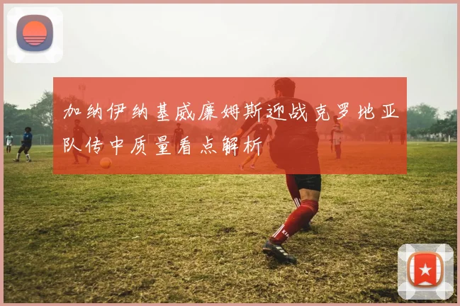 加纳伊纳基威廉姆斯迎战克罗地亚队传中质量看点解析